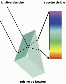 Color Vision
