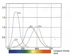 Standard observer curve