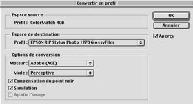 Convert to profile dialog